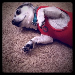 Meet your Posher, Jessica